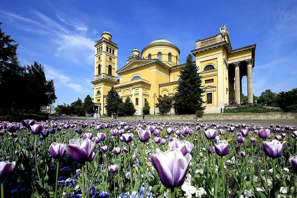 Nemes Apartman Eger